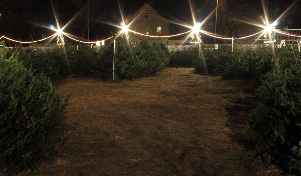 Leistungen im Überblick