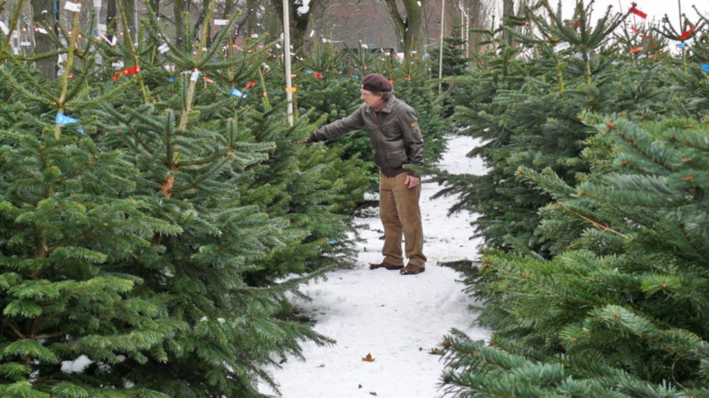 Weihnachtsbaum_bg2018 Preise